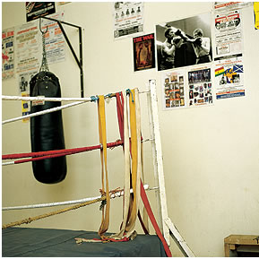 The Boxing Ring